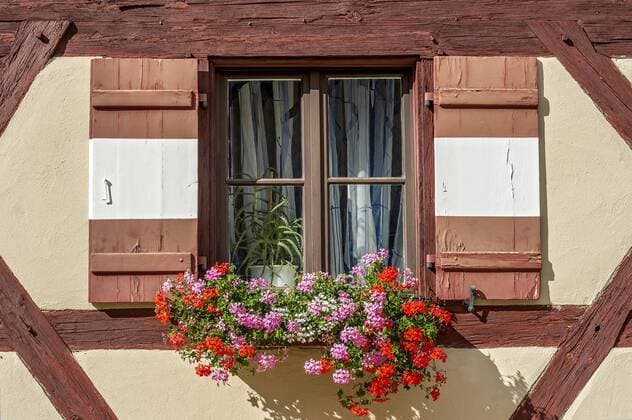 Fenster mit Geranien (Pelargonium spec.) am Fachwerkhaus vom Sekretariatsgebäude, Äußerer Burghof, Kaiserburg, Nürnberg, Mittelfranken, Franken, Bayern, Deutschland, Europa ibxrai04101231.jpg