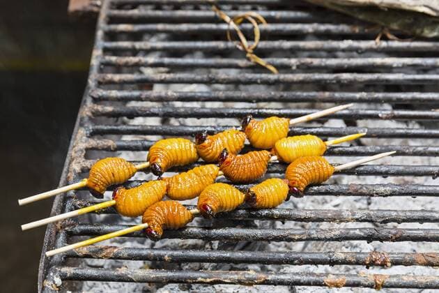 Ecuador, Puerto Francisco de Orellana, grilled larva of trunk beetle  FOF007744
