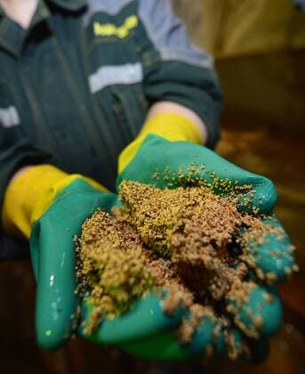 SAKHA, RUSSIA. APRIL 20, 2015. An employee holds gold granules at AldanZoloto Mining Company. AldanZoloto is a subsidiary of Polyus Gold. Yuri Smityuk TASS  TS00092E