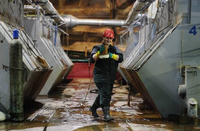 SAKHA, RUSSIA. APRIL 20, 2015. An ore benefication operator takes samples at a sorption department of the Kuranakh gold field owned by AldanZoloto Mining Company. AldanZoloto is a subsidiary of Polyus Gold. Yuri Smityuk TASS  TS00092F