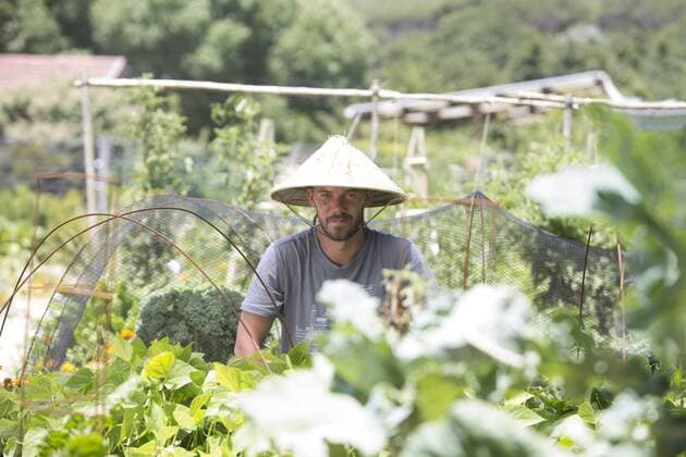 IMAGO Creative, Jahreszeit Sommer, Sonnenschutz Gardener with Asian hat at work model released Symbolfoto property released  ZEF004046