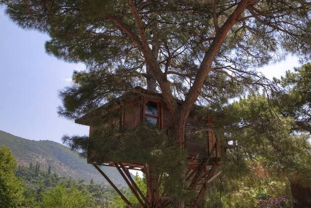 IMAGO Creative, Leben im Bamhaus Tree house, Saklikent Canyon, Mugla, Aegean, Turkey