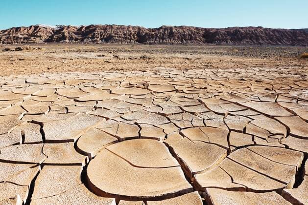 South America, Chile, Dry cracked earth in the Atacama desert  GEMF000253