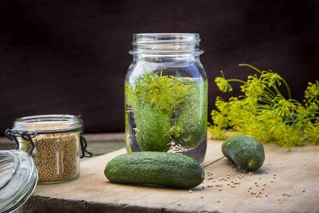 Preserving jar of gherkins  LVF003657