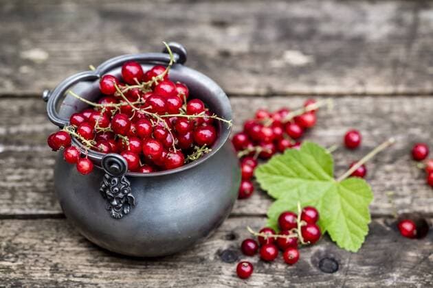 Fresh red currants in zinc bowl  SARF001968