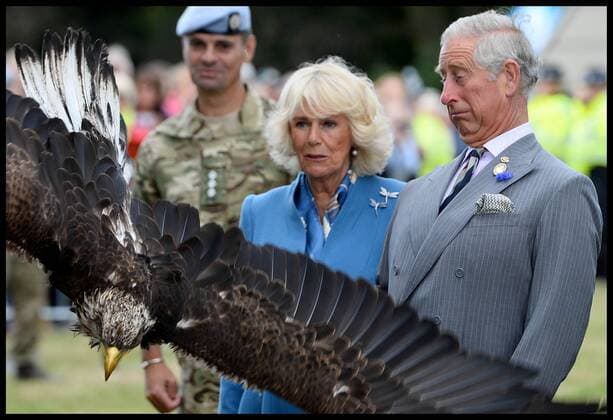 . 29 07 2015. Sandringham, United Kingdom. Prince Charles and Duchess of Cornwall look at Zephyr the Eagle during their visit to the Sandringham Flower Show on the Queen s estate in Norfolk.  xAndrewxParsonsx xi-Imagesx IIM-10799-0054