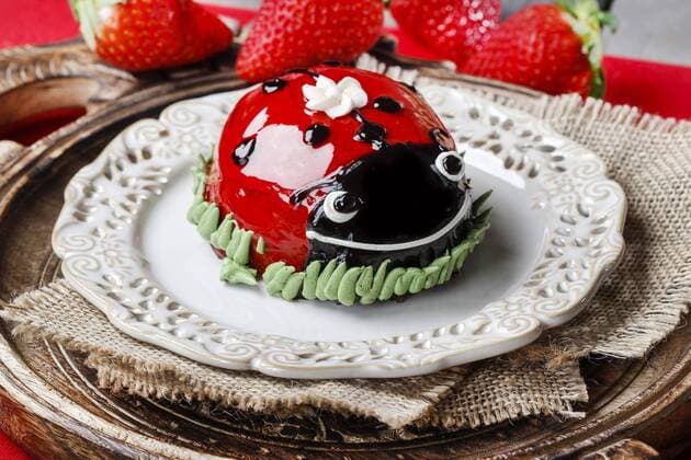 Geburtstag - Symbolbilder Ladybug cake  Copyright: KantarukxAgnieszka bew18528B1