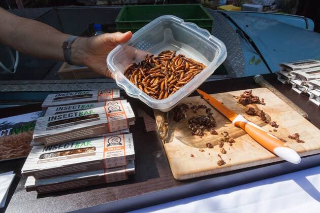 Verkaufsstand Insektenriegel - Paleo Convention 2015 Neue Heimat Berlin xASx