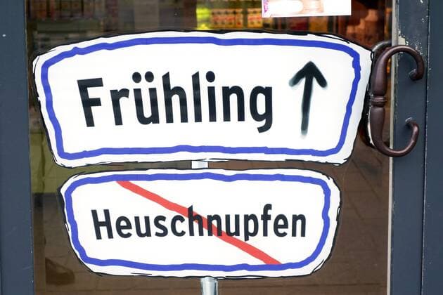 Heuschnupfen, Symbolfoto  1065504654