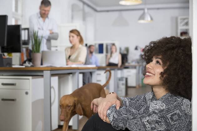 IMAGO Creative, Health, Hunde im Büro reduzieren Stress Smiling woman in office with colleagues and dog in background model released Symbolfoto property released  FKF001329