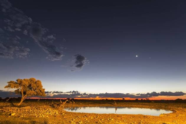 Namibia, Etosha National Park, giraffes at Okaukuejo water hole at twilight  FOF008138