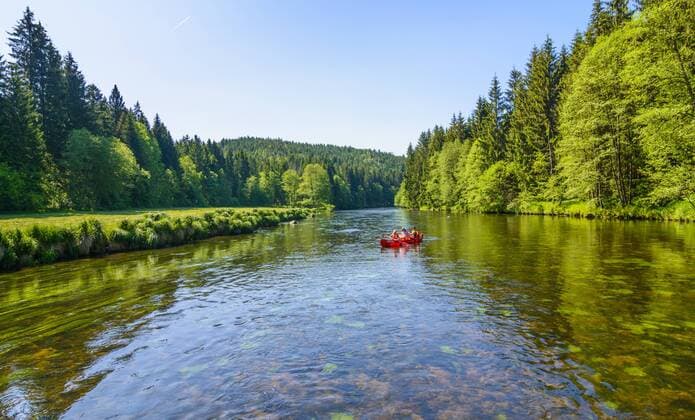 Paddler in Kanu (Kanadier) auf dem Schwarzer Regen in Regen, Niederbayern, Bayern, Deutschland model released