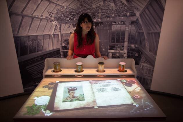 (150828) -- MEXICO CITY, Aug. 28, 2015 -- A woman views a work of the exhibition Diego Pop, Frida Pop in Mexico City, capital of Mexico, on Aug. 28, 2015. The exhibition, about Mexican artists Diego Rivera and Frida Kahlo on their influence in American culture, will last to Sept. 7. Pedro Mera) (jg) MEXICO-MEXICO CITY-CULTURE-EXHIBITION e PedroxMera 