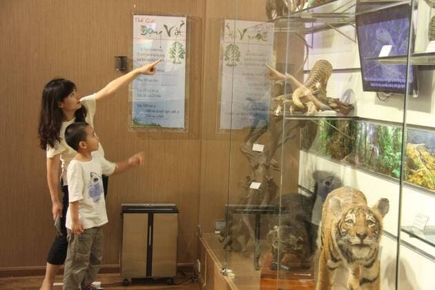 (150829) -- HANOI, Aug. 29, 2015 -- People visit the Vietnam National Musuem of Nature in Hanoi, Vietnam, Aug. 29, 2015. Supported by Vietnam Academy of Science and Technology and founded in 2006, the museum has more than 40000 specimens of animals, plants and insects. ) VIETNAM-HANOI-NATIONAL MUSEUM OF NATURE LexYanna 