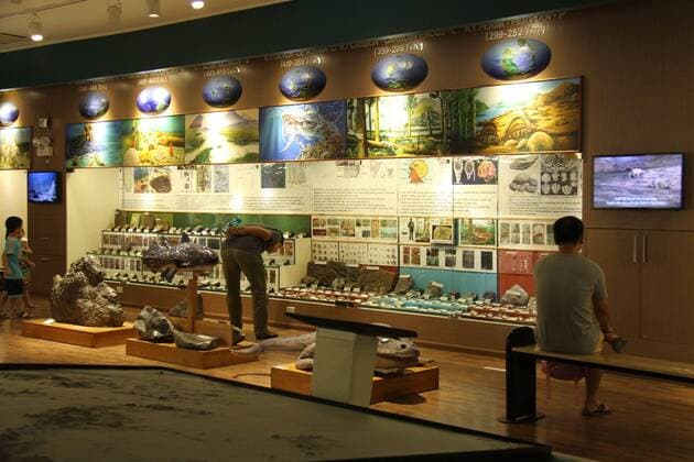 (150829) -- HANOI, Aug. 29, 2015 -- People visit the Vietnam National Museum of Nature in Hanoi, Vietnam, Aug. 29, 2015. Supported by Vietnam Academy of Science and Technology and founded in 2006, the museum has more than 40000 specimens of animals, plants and insects. ) VIETNAM-HANOI-NATIONAL MUSEUM OF NATURE LexYanna 