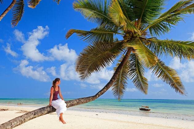 eine junge Frau sitzt auf einer Palme an einem exotischen Sandstrand, Tansania, Sansibar young woman sitting on palm tree at exotic sandy beach, Tanzania, Sansibar BLWS269805