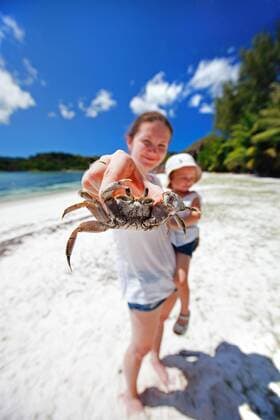 junge Mutter mit kleinem Kind am tropischen Strand haelt eine Krabbe in die Kamera young mother with little child on tropical beach holding a crab to the camera BLWS269843