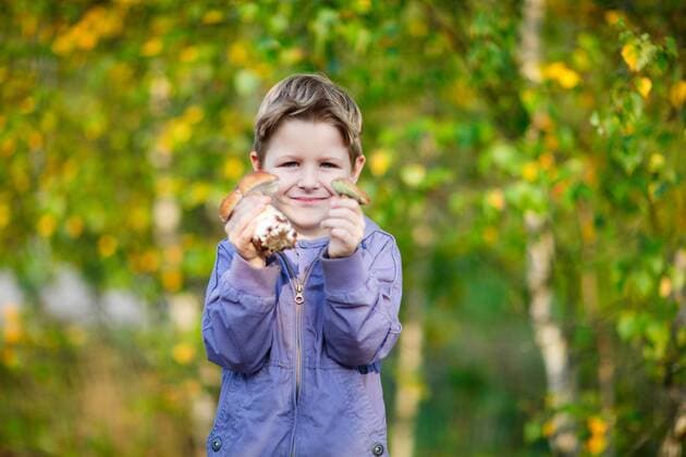 ein kleiner Junge zeigt zwei Waldpilze a little boy showing two wild mushrooms BLWS272260