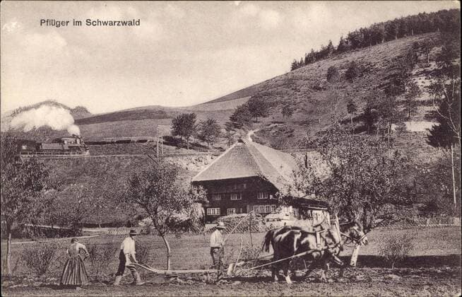Pflüger im Schwarzwald, Frau und Männer auf dem Feld, Pferdegespann !AUFNAHMEDATUM GESCHÄTZT!