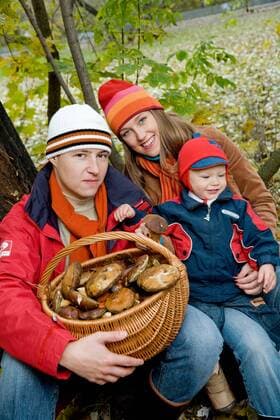 Family picking up mushrooms together in the forest.  1275844