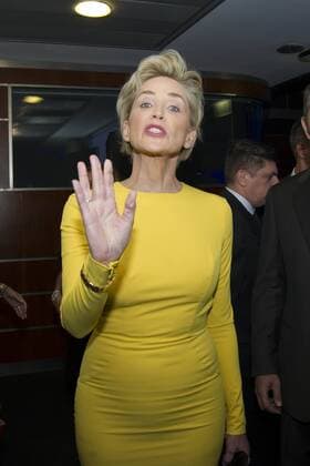 Milano, 11.09.2015 - Building the Peace Award - Sharon Stone  0