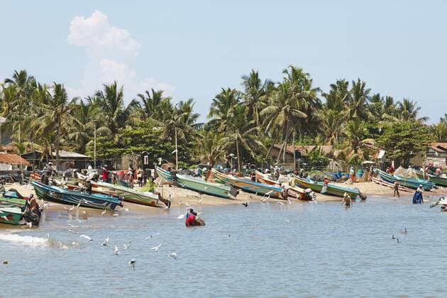 IMAGO Creative, Unsere Erde, Umweltverträgliche Herausforderungen des 21. Jahrhunderts, Überfischung Fischerhafen, Negombo, Westprovinz, Indischer Ozean, Ceylon, Sri Lanka, Asien Copyright: imageBROKER/MartinaxKatz iblcxb04203371.jpg