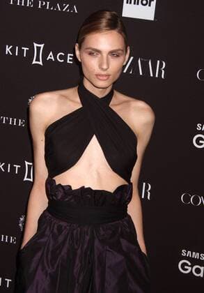Sept. 16, 2015 - New York, New York, U.S. - Model ANDREJA PEJIC attends the 2015 HARPER S BAAZAR celebrates ICONS red carpet held held at the Plaza Hotel, New York U.S. - ZUMAk03_