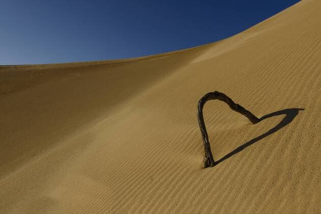 Australia, Eyre Peninsula, Port Lincoln, branch in dune shaping a heart  TOVF000007