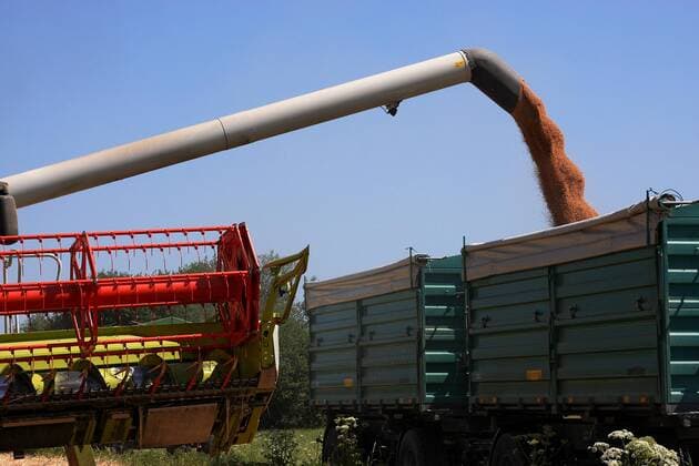 IMAGO Nature: Unsere Erde, Klimawandel, Ernährung, Pflanzen der Zukunft, Hafer Mähdrescher Mähdrescher - harvester-thresher  1033002705