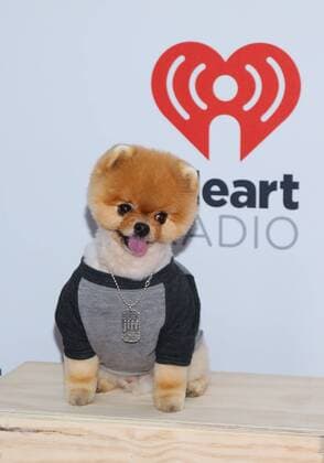 Jiff arrives in the press room for the iHeartRadio Music Festival at the MGM Grand Hotel in Las Vegas, Nevada on September 18, 2015.  LAV20150918061 JAMESxATOA
