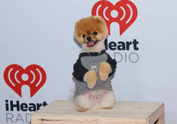 Jiff arrives in the press room for the iHeartRadio Music Festival at the MGM Grand Hotel in Las Vegas, Nevada on September 18, 2015.  LAV20150918063 JAMESxATOA