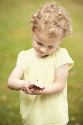 Little girl watching ladybird on her hand model released Symbolfoto property released  MFRF000314