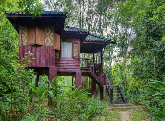 IMAGO Creative, Leben im Bamhaus Baumhaus im Regenwald, Thailand, Sura Thani, Khao Sok Nationalpark tree house in the rainforest, Thailand, Sura Thani, Khao Sok National Park BLWS324235