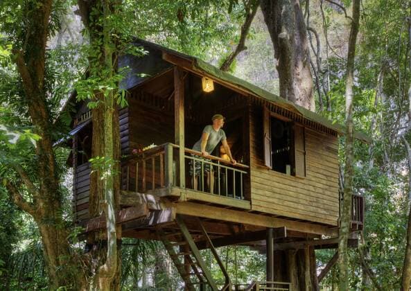 IMAGO Creative, Leben im Bamhaus Baumhaus im Regenwald, Thailand, Sura Thani, Khao Sok Nationalpark tree house in the rainforest, Thailand, Sura Thani, Khao Sok National Park BLWS324244