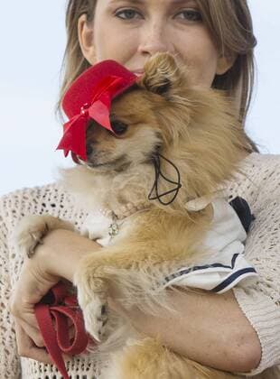(150927) -- TORONTO, Sept. 27, 2015 -- A model displays a dressed up pet dog on stage during the fashion show event of the 2015 Woofstock at Woodbine Park in Toronto, Canada, Sept. 27, 2015. Woofstock is the largest outdoor festival for dogs in North America. ) CANADA-TORONTO-WOOFSTOCK-PET DOG-FASHION SHOW ZouxZheng 