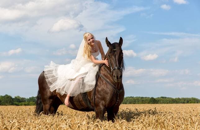 24.7.2015, Brusendorf, Brandenburg, GER - Brautpaar mit Pferd, MODEL RELEASE: YES. . .