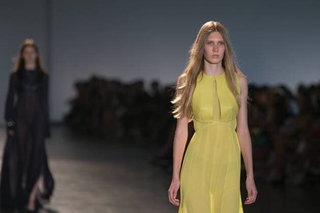 SAO PAULO, Brazil - 10 19 2015: SAO PAULO FASHION WEEK WINTER 2016- Animale during the Sao Paulo Fashion Week Winter 2016 held at Ibirapuera Park.  Ci?axNeder