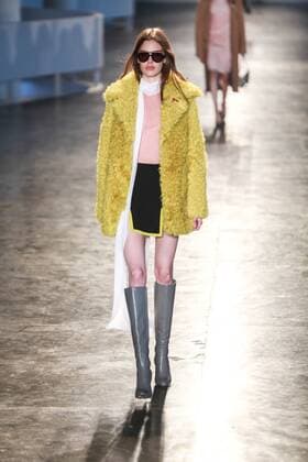 Oct. 19, 2015 - Sao Paulo, Sao Paulo, Brazil - A model presents a creation by Animale during the 2016 Winter collection of the Sao Paulo Fashion Week in Sao Paulo. Sao Paulo Brazil - ZUMAp133