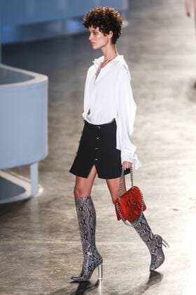Oct. 19, 2015 - Sao Paulo, Sao Paulo, Brazil - A model presents a creation by Animale during the 2016 Winter collection of the Sao Paulo Fashion Week in Sao Paulo. Sao Paulo Brazil - ZUMAp133