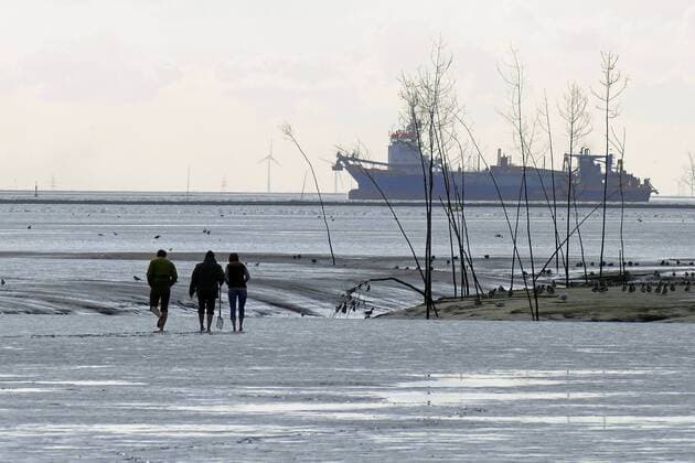 Wattwanderer in Wremertief, Deutschland, Niedersachsen tidal flat hiker at Wremertief, Germany, Lower Saxony BLWS407404