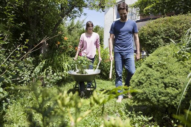 Couple with wheelbarrow gardening together model released Symbolfoto property released  RBF003181