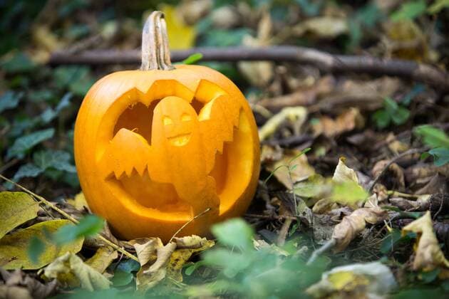 Innsbruck THEMENBILD - ein Kuerbis fuer Halloween, welches am 31. Oktober stattfindet, der urspruenglich aus Irland stammende Brauch bekommt neuerdings auch in unseren Regionen zunehmend mehr Wichtigkeit, aufgenommen am 23. Oktober 2015, Innsbruck, Oesterreich a pumpkin for halloween, which takes place at October 31. The originally from Ireland coming tradition is getting more and more popular in Austria. Innsbruck, Austria on 2015 10 23.  EX_JAK 
