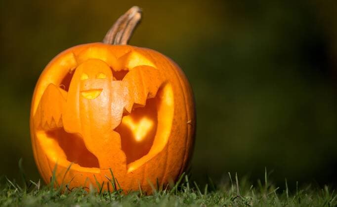 Innsbruck THEMENBILD - ein Kuerbis fuer Halloween, welches am 31. Oktober stattfindet, der urspruenglich aus Irland stammende Brauch bekommt neuerdings auch in unseren Regionen zunehmend mehr Wichtigkeit, aufgenommen am 23. Oktober 2015, Innsbruck, Oesterreich a pumpkin for halloween, which takes place at October 31. The originally from Ireland coming tradition is getting more and more popular in Austria. Innsbruck, Austria on 2015 10 23.  EX_JAK