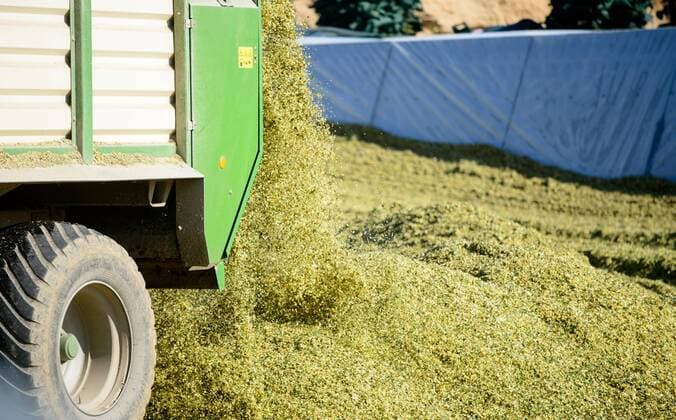 IMAGO Nature: Unsere Erde, Energiequellen, Biomasse Ein LKW kippt am 12.10.2015 in einer Biogas-Analge in der Nähe von Nossen (Sachsen) gehäckselte Maispflanzen in ein Silo.