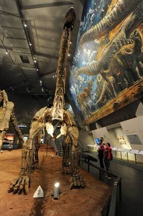 (151109) -- CHONGQING, Nov. 9, 2015 -- Visitors take photos besides a dinosaur fossil in the new venue of Chongqing Museum of Natural History in southwest China s Chongqing Municipality, Nov. 9, 2015. With an investment of nearly 400 million yuan (around 63 million US dollars), the new venue of Chongqing Museum of Natural History opened to the public on Monday. The universal museum contains more than 110,000 exhibits, covering the fields of astronomy, geography and biology. ) (zhs) CHINA-CHONGQING-MUSEUM-NATURE (CN) TangxYi 