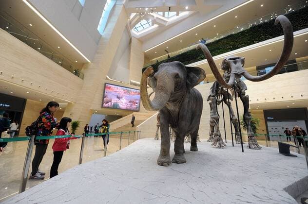 (151109) -- CHONGQING, Nov. 9, 2015 -- Visitors are seen in the new venue of Chongqing Museum of Natural History in southwest China s Chongqing Municipality, Nov. 9, 2015. With an investment of nearly 400 million yuan (around 63 million US dollars), the new venue of Chongqing Museum of Natural History opened to the public on Monday. The universal museum contains more than 110,000 exhibits, covering the fields of astronomy, geography and biology. ) (zhs) CHINA-CHONGQING-MUSEUM-NATURE (CN) TangxYi 