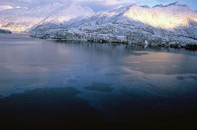 May 17, 2010 - Prince William Sound, AK, United States of America - Aerial view of an oil sheen in Valdez Harbor caused by oil from the Exxon Valdez oil spill being freed from the ocean floor nine-months after the accident December 7, 1989 in Prince William Sound, Alaska. The Exxon Valdez spilled at least 11 million gallons of crude oil into the pristine waters of Prince William Sound on March 24, 1989. Prince William Sound United States of America - ZUMAp138
