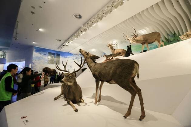 CHONGQING -- People visit the new Chongqing Museum of Natural History in Chongqing, southwest China, Nov. 15, 2015. The new Chongqing Museum of Natural History, the second largest natural museum in China, reopened on Nov. 9, 2015. ) (zwx) CHINA-CHONGQING-MUSEUM OF NATURAL HISTORY-REOPENING(CN) QinxTingfu 