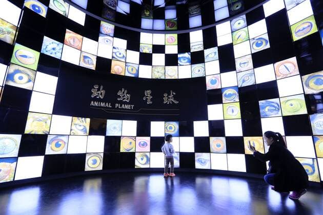 CHONGQING -- People visit the new Chongqing Museum of Natural History in Chongqing, southwest China, Nov. 15, 2015. The new Chongqing Museum of Natural History, the second largest natural museum in China, reopened on Nov. 9, 2015. ) (zwx) CHINA-CHONGQING-MUSEUM OF NATURAL HISTORY-REOPENING(CN) QinxTingfu 