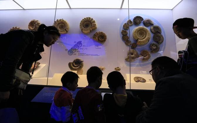 CHONGQING -- People visit the new Chongqing Museum of Natural History in Chongqing, southwest China, Nov. 15, 2015. The new Chongqing Museum of Natural History, the second largest natural museum in China, reopened on Nov. 9, 2015. ) (zwx) CHINA-CHONGQING-MUSEUM OF NATURAL HISTORY-REOPENING(CN) QinxTingfu 